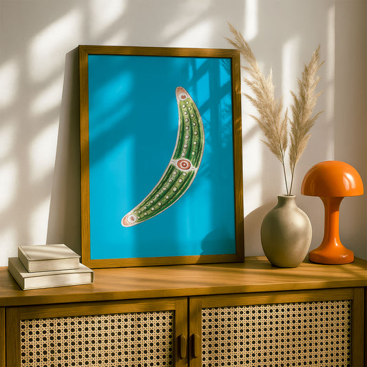 Ernst Haeckel Remixed Art Print 34 | Classic Art Reimagined | Premium Wall Art