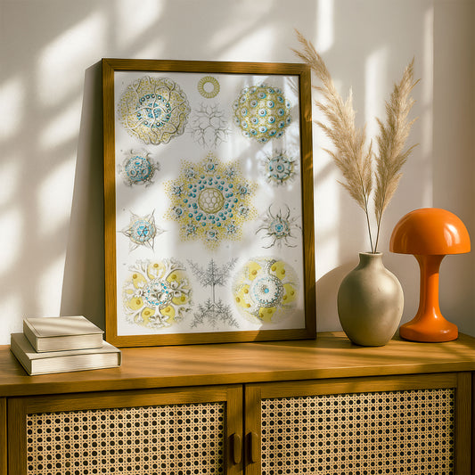 Ernst Haeckel Art Print | Plate 51: Collosphaera | Vintage Wall Art Poster