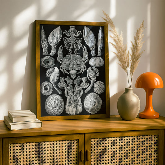 Ernst Haeckel Art Print | Plate 57: Lepas | Quality Vintage Wall Art Poster