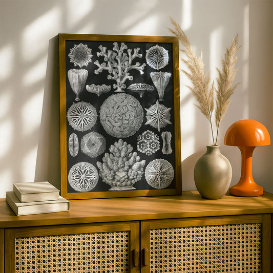Ernst Haeckel Art Print | Plate 9: Maeandrina | Vintage Wall Art Poster