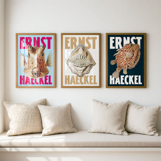 Ernst Haeckel Remixed Art Prints: Fish 3 Pack | Premium Wall Art