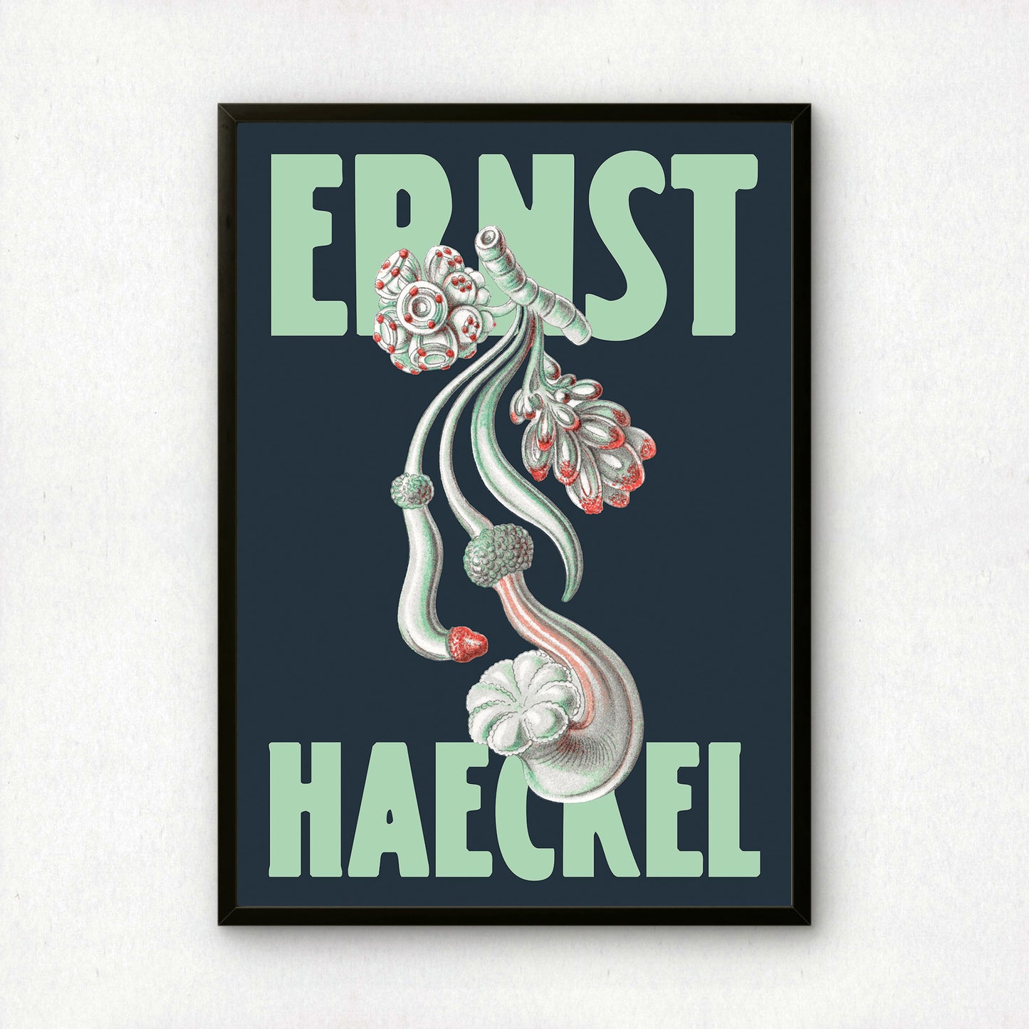 Ernst Haeckel Remixed Art Print 10 | Classic Art Reimagined | Premium Wall Art