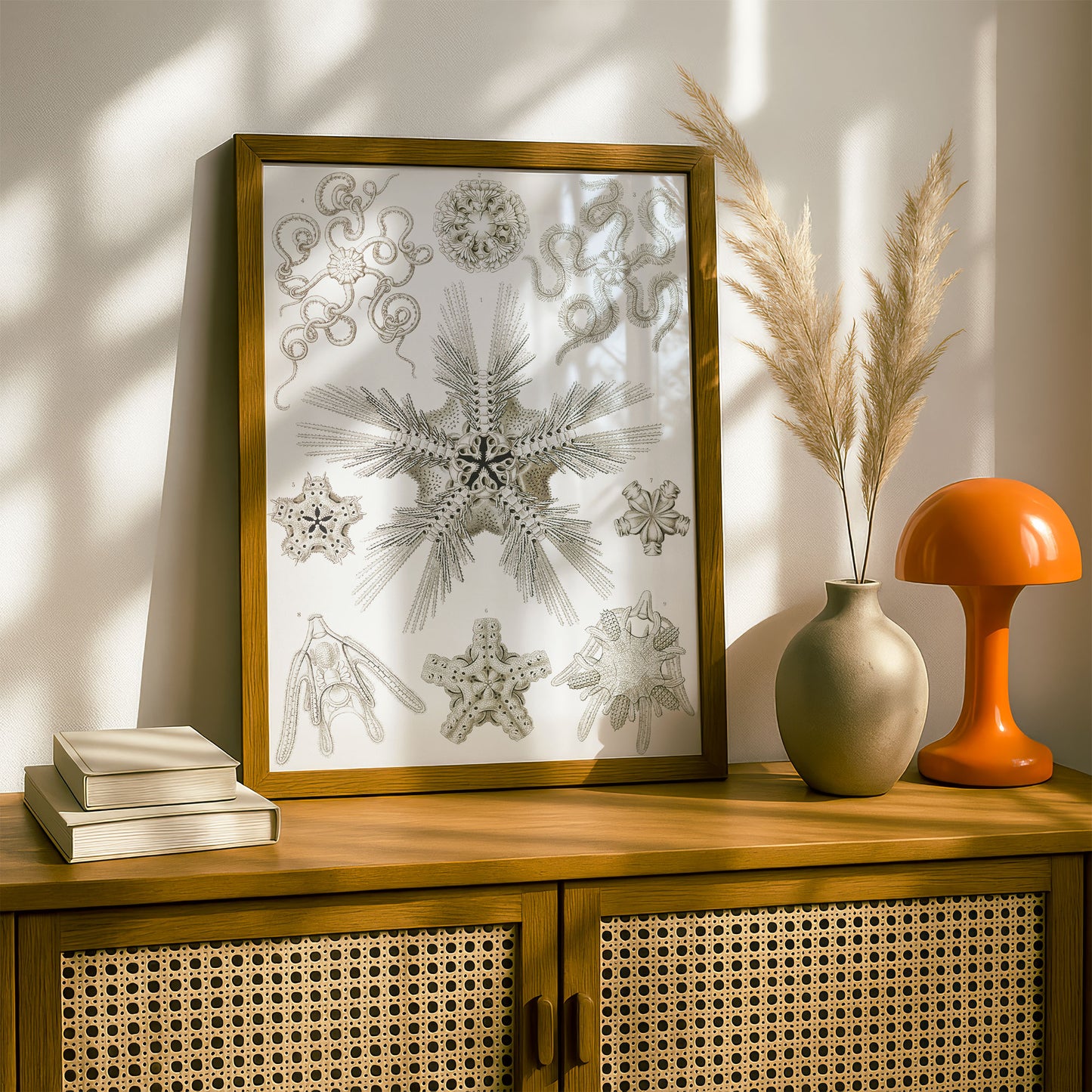 Ernst Haeckel Art Print | Plate 10: Ophiotrix | Vintage Wall Art Poster