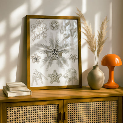 Ernst Haeckel Art Print | Plate 10: Ophiotrix | Vintage Wall Art Poster