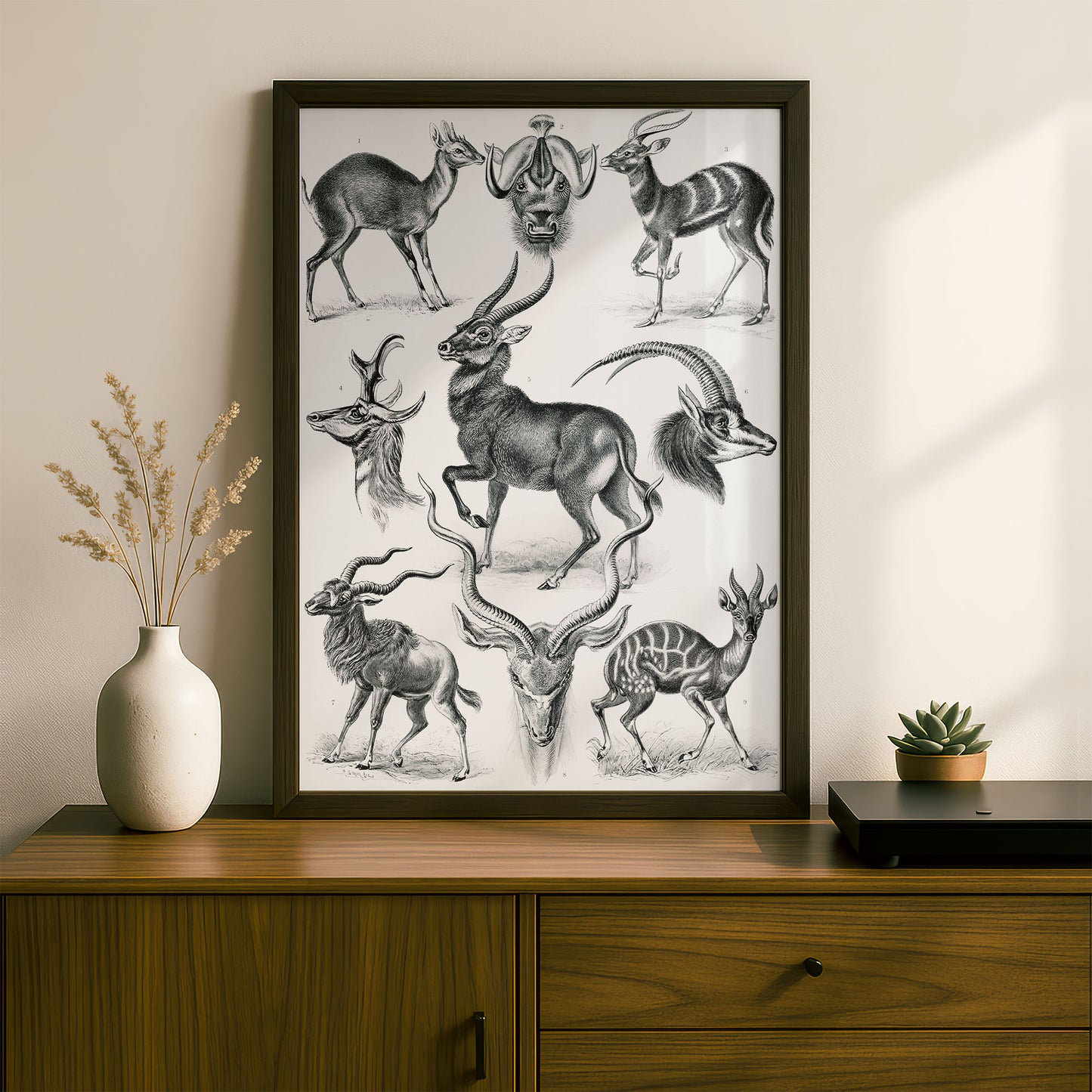 Ernst Haeckel Art Print | Plate 100: Antilope | Vintage Wall Art Poster