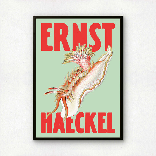Ernst Haeckel Remixed Art Print 11 | Natural History Print | Premium Wall Art