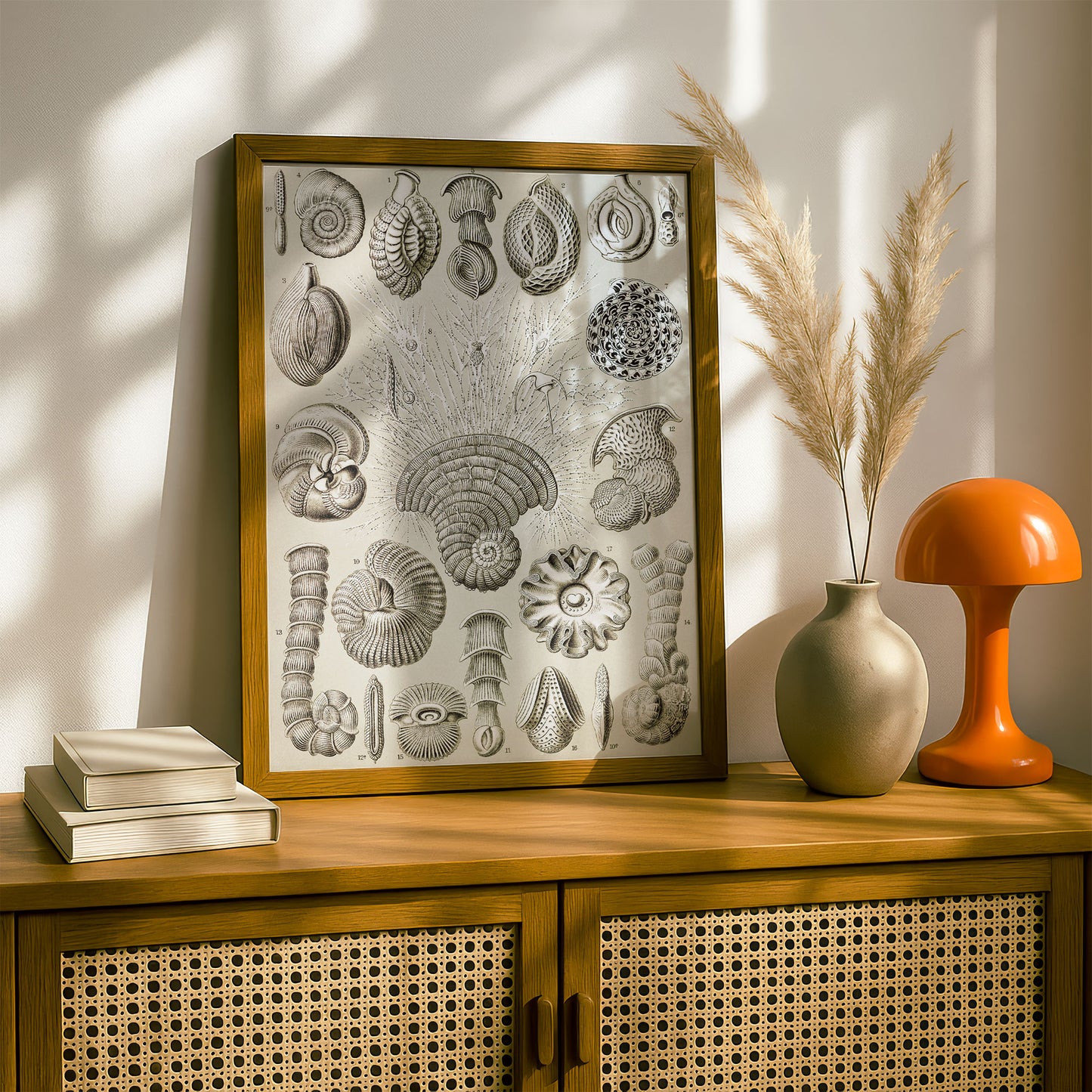 Ernst Haeckel Art Print | Plate 12: Miliola | Quality Vintage Wall Art Poster