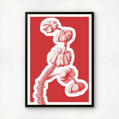 Ernst Haeckel Remixed Art Print 13 | Modern Design | Geometric Wall Art