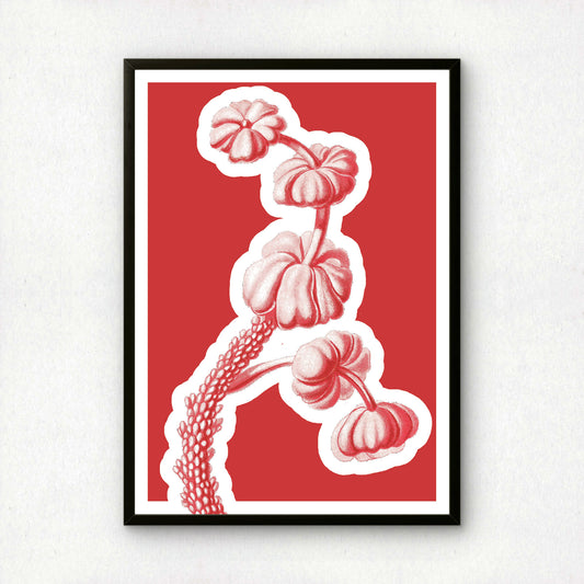Ernst Haeckel Remixed Art Print 13 | Modern Design | Geometric Wall Art