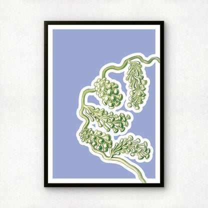 Ernst Haeckel Remixed Art Print 14 | Vintage Art Reimagined | Modern Wall Art