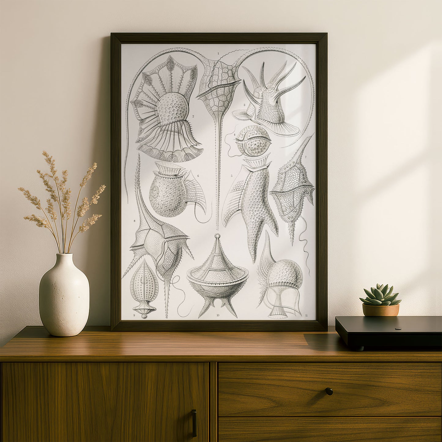 Ernst Haeckel Art Print | Plate 14: Peridinium | Vintage Wall Art Poster