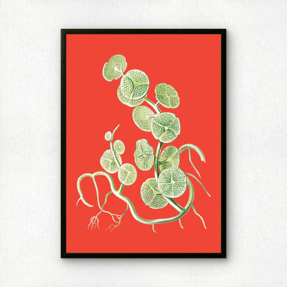 Ernst Haeckel Remixed Art Print 15 | Vintage Illustration | Modern Wall Art