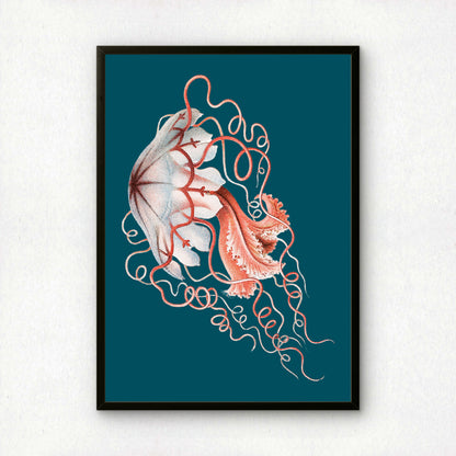 Ernst Haeckel Remixed Art Print 16 | Classic Art Reimagined | Premium Wall Art