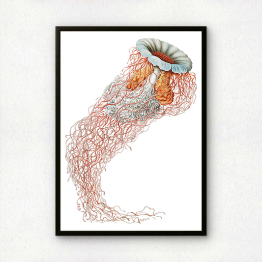 Ernst Haeckel Remixed Art Print 17 | Natural History Print | Premium Wall Art