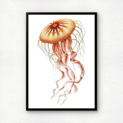 Ernst Haeckel Remixed Art Print 18 | Modern Art Nouveau | Premium Wall Art