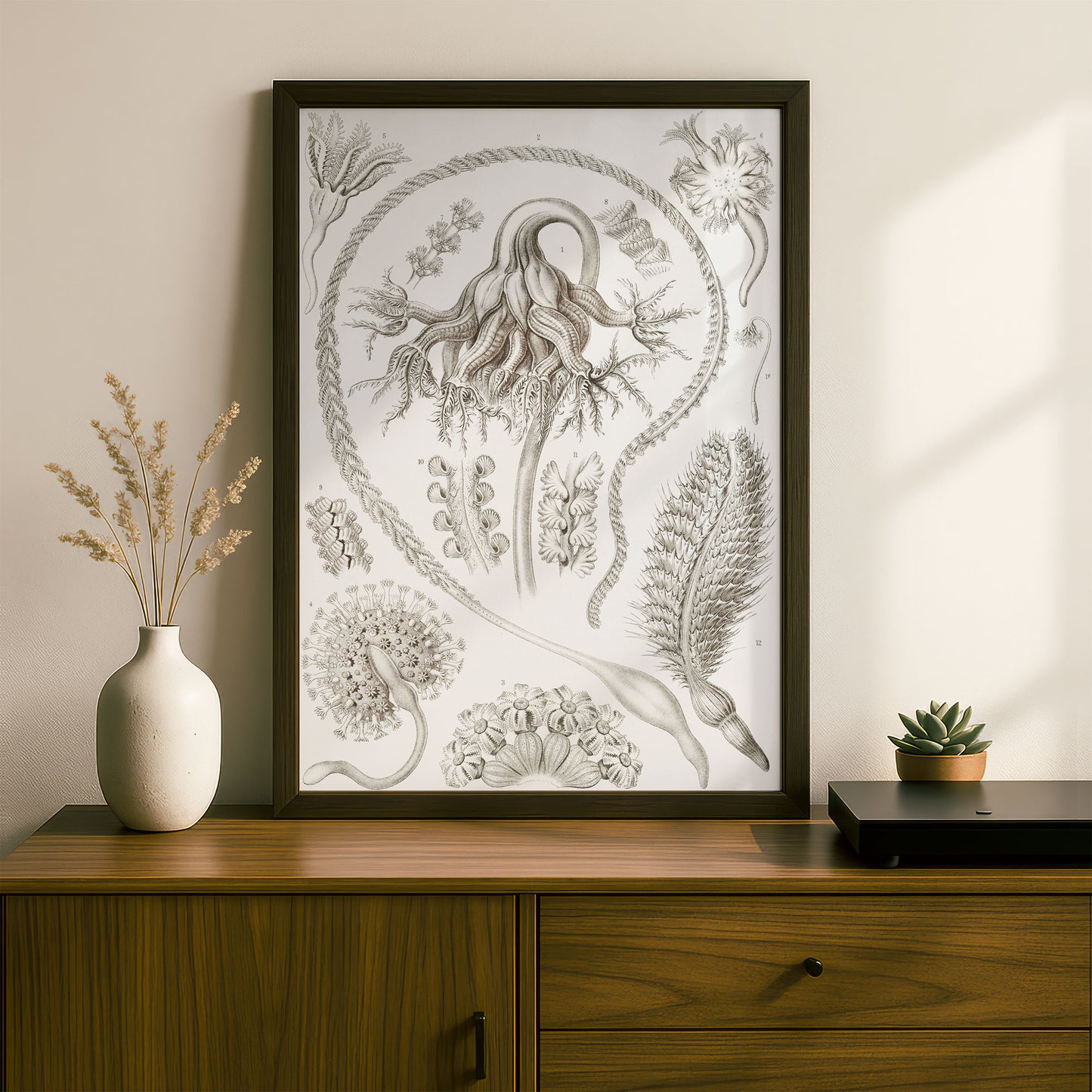 Ernst Haeckel Art Print | Plate 19: Pennatula | Vintage Wall Art Poster