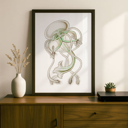Ernst Haeckel Remixed Art Print 19 | Modern Design | Geometric Wall Art