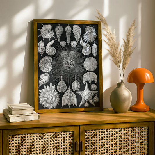 Ernst Haeckel Art Print | Plate 2: Globigerina | Vintage Wall Art Poster