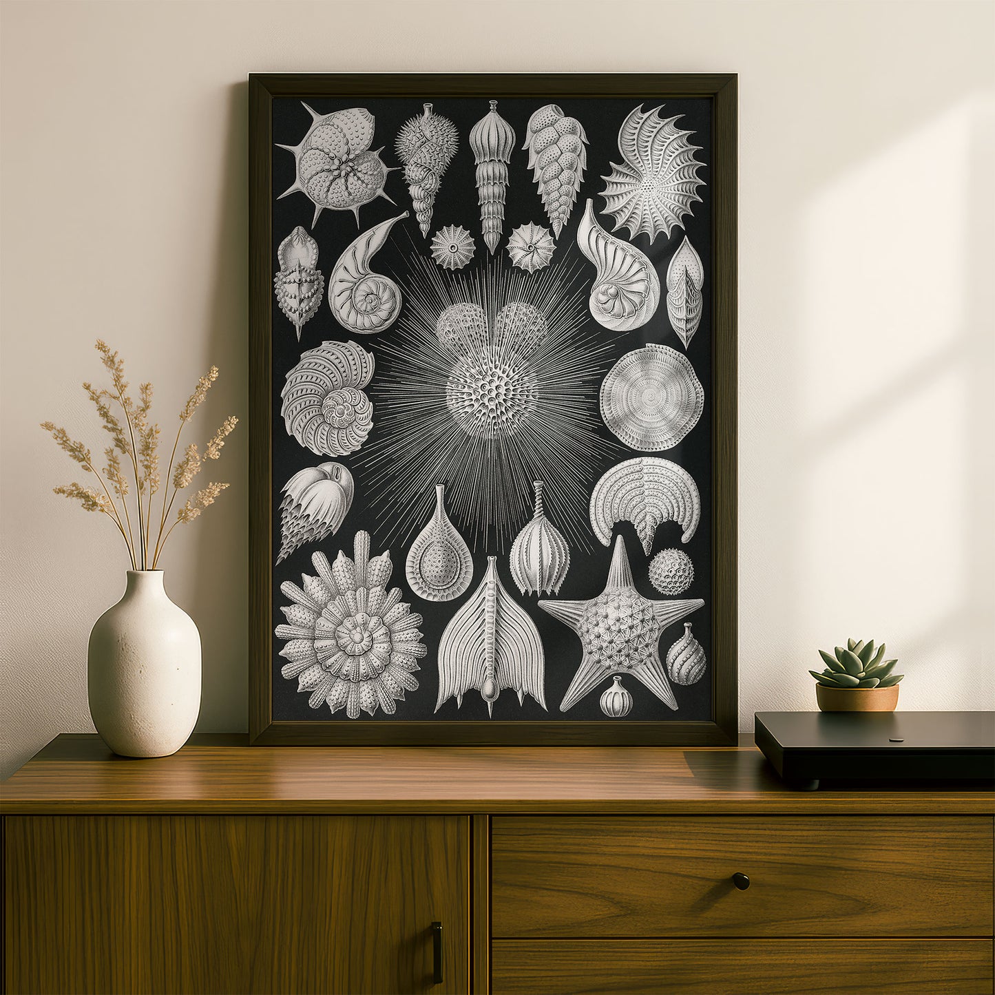 Ernst Haeckel Art Print | Plate 2: Globigerina | Vintage Wall Art Poster