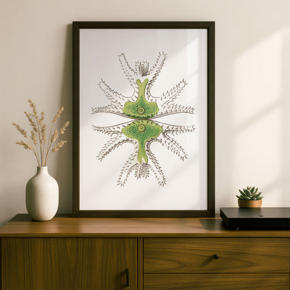 Ernst Haeckel Remixed Art Print 20 | Vintage Art Reimagined | Modern Wall Art