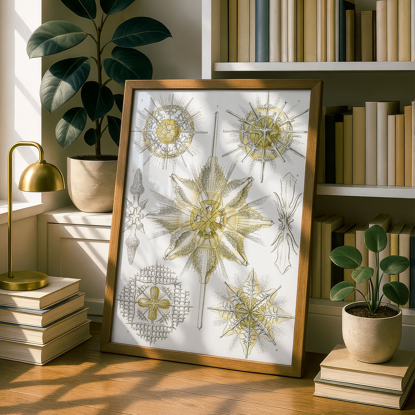 Ernst Haeckel Art Print | Plate 21: Xiphacantha | Vintage Wall Art Poster