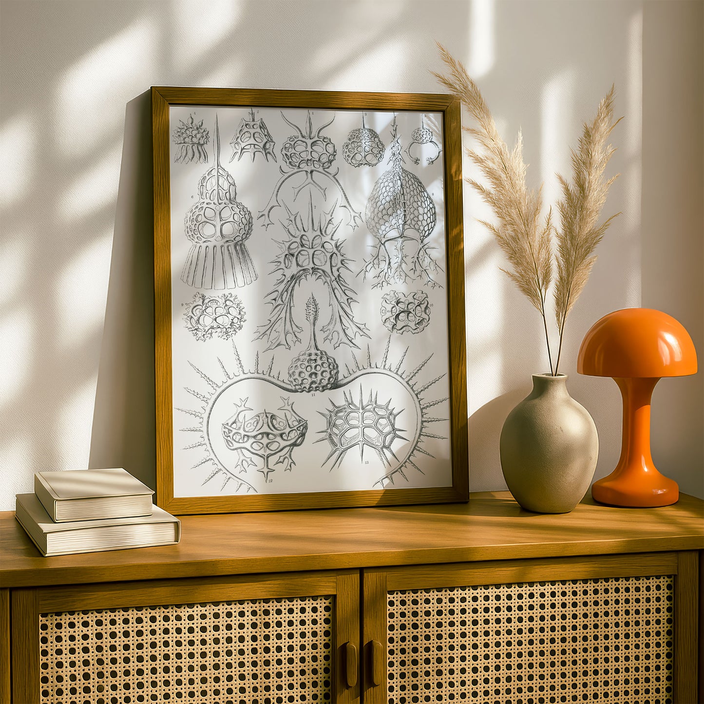 Ernst Haeckel Art Print | Plate 22: Elaphosphyris | Vintage Wall Art Poster