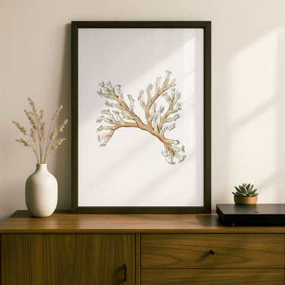 Ernst Haeckel Remixed Art Print 23 | Natural History Print | Premium Wall Art