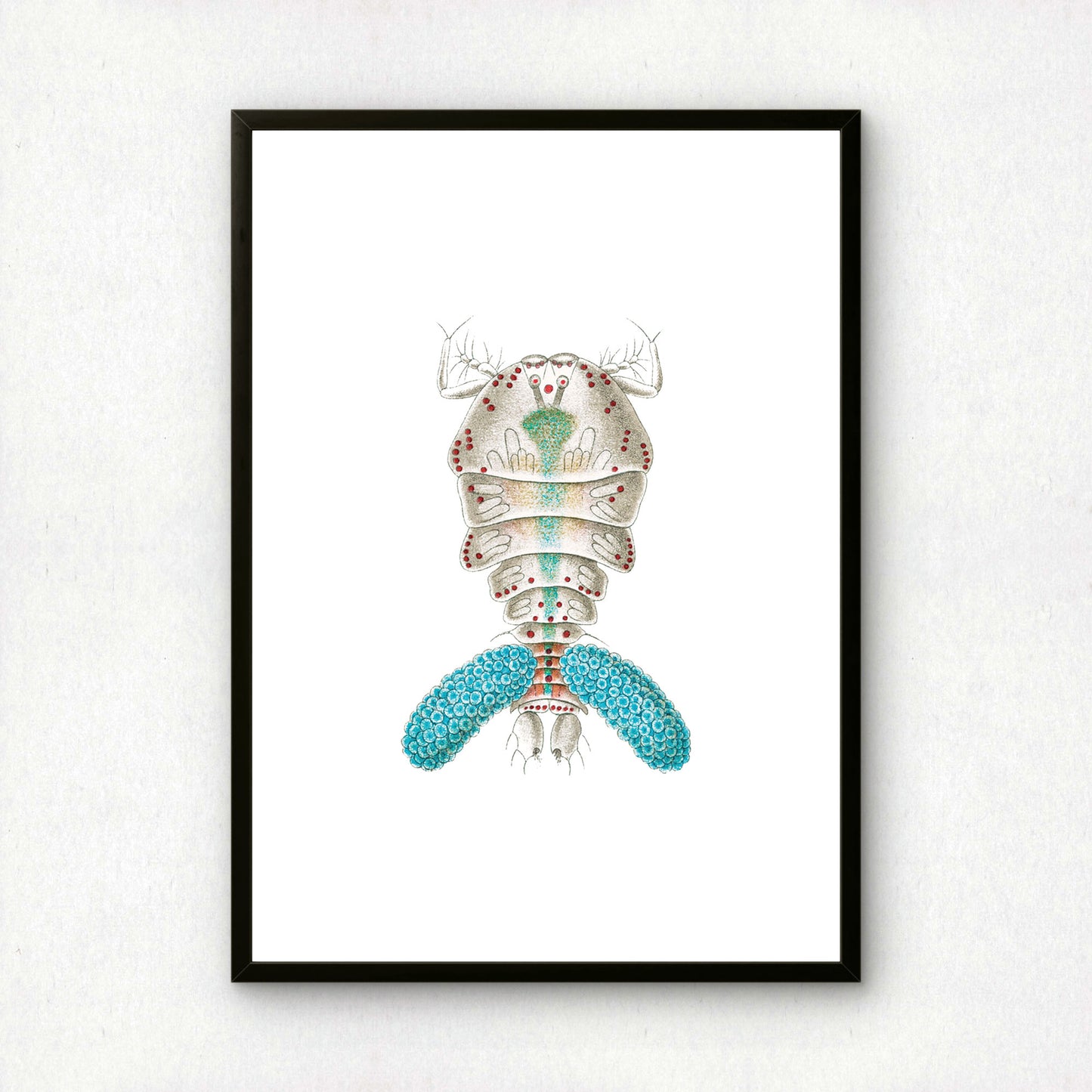 Ernst Haeckel Remixed Art Print 24 | Modern Art Nouveau | Premium Wall Art