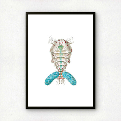 Ernst Haeckel Remixed Art Print 24 | Modern Art Nouveau | Premium Wall Art