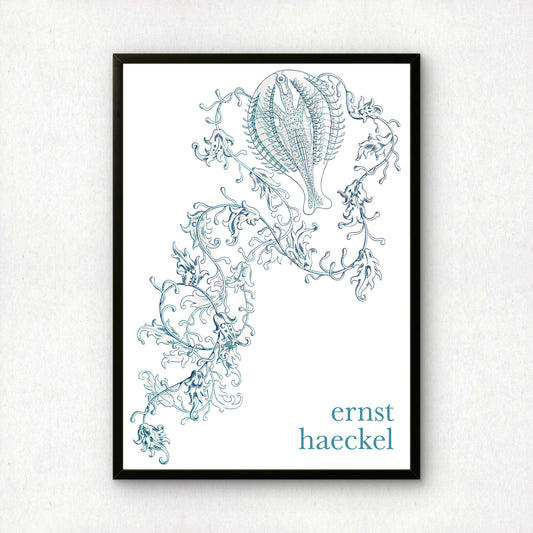 Ernst Haeckel Remixed Art Print 25 | Modern Design | Geometric Wall Art
