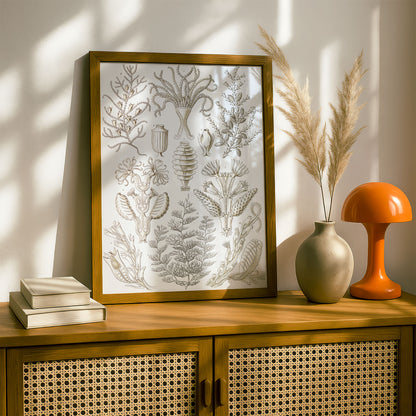 Ernst Haeckel Art Print | Plate 25: Diphasia | Vintage Wall Art Poster