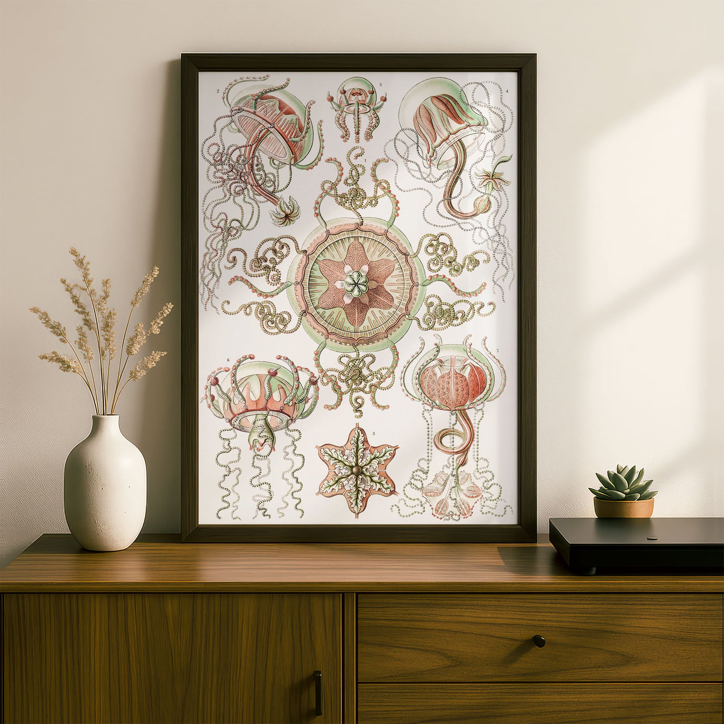 Ernst Haeckel Art Print | Plate 26: Carmaris | Vintage Wall Art Poster