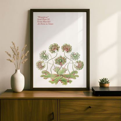 Ernst Haeckel Remixed Art Print 26 | Vintage Art Reimagined | Modern Wall Art