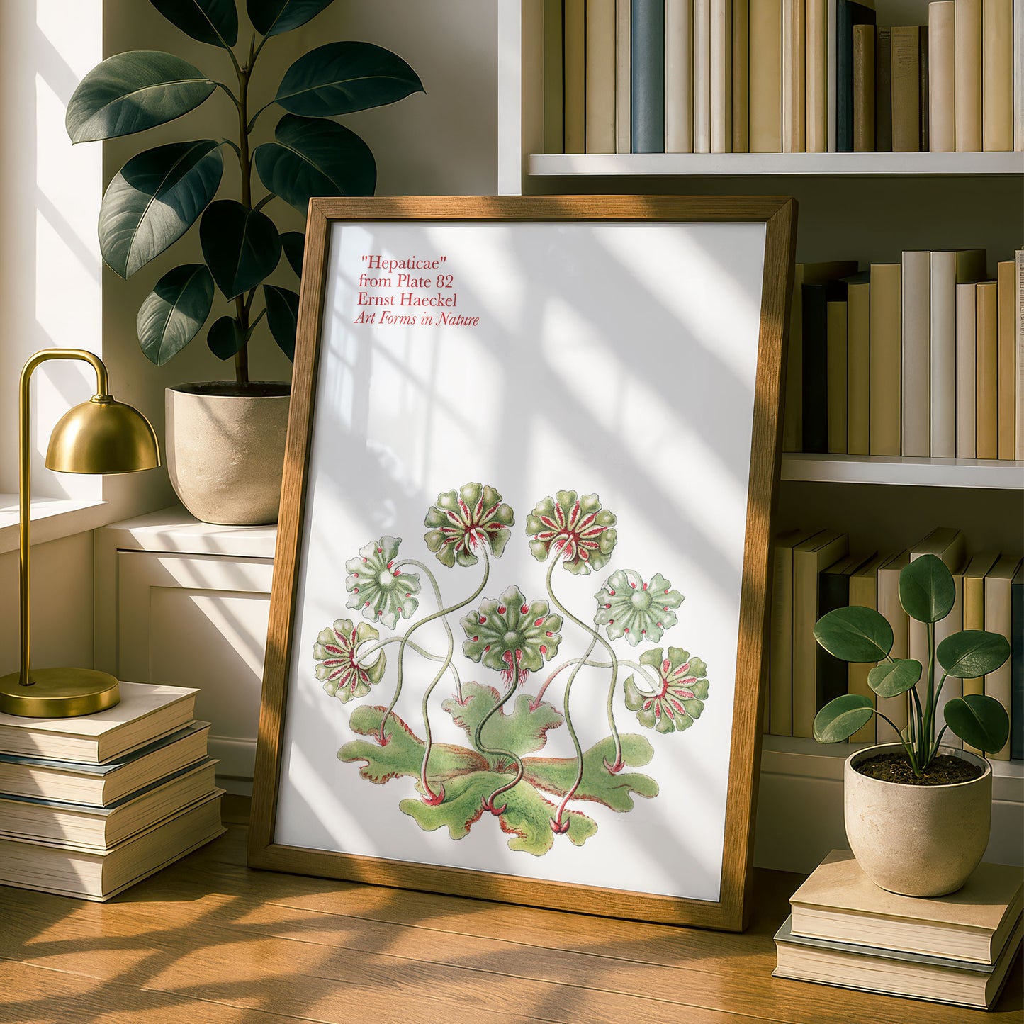 Ernst Haeckel Remixed Art Print 26 | Vintage Art Reimagined | Modern Wall Art