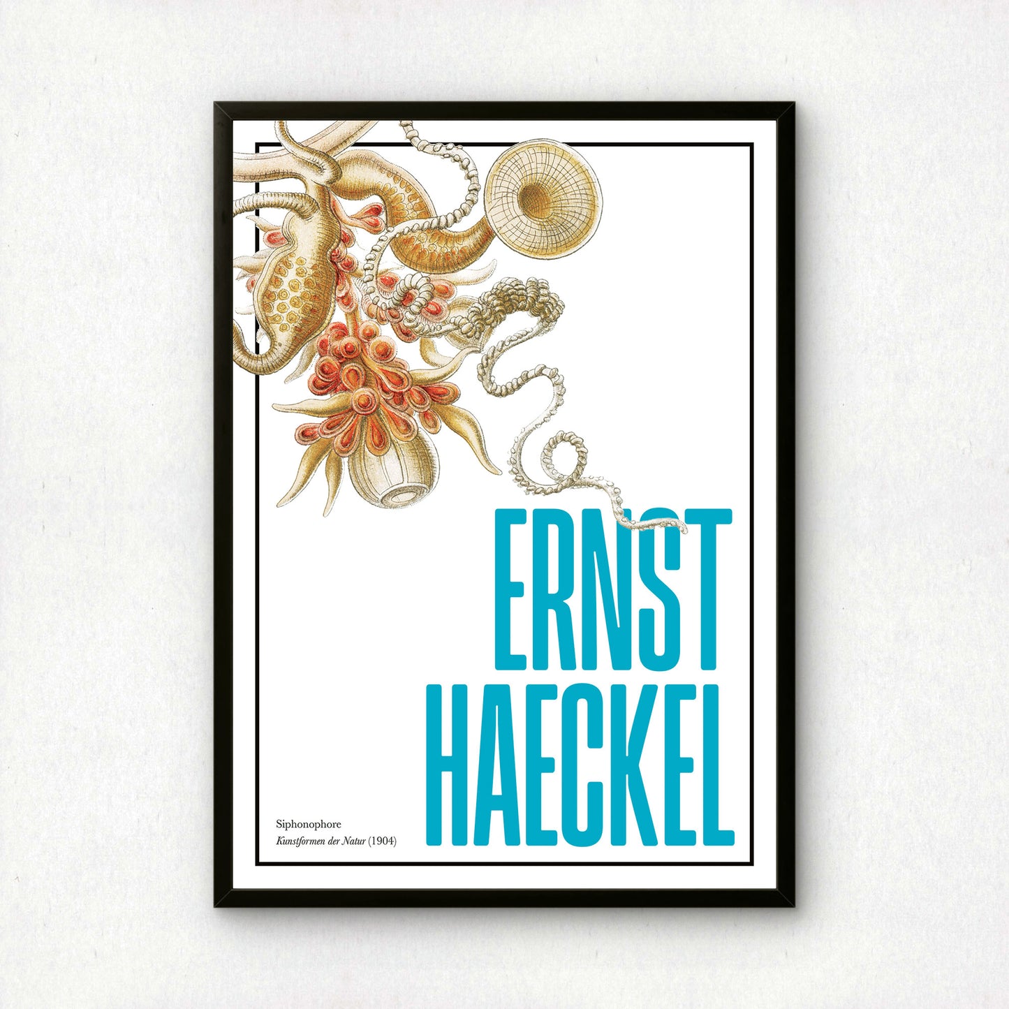 Ernst Haeckel Remixed Art Print 27 | Vintage Illustration | Modern Wall Art