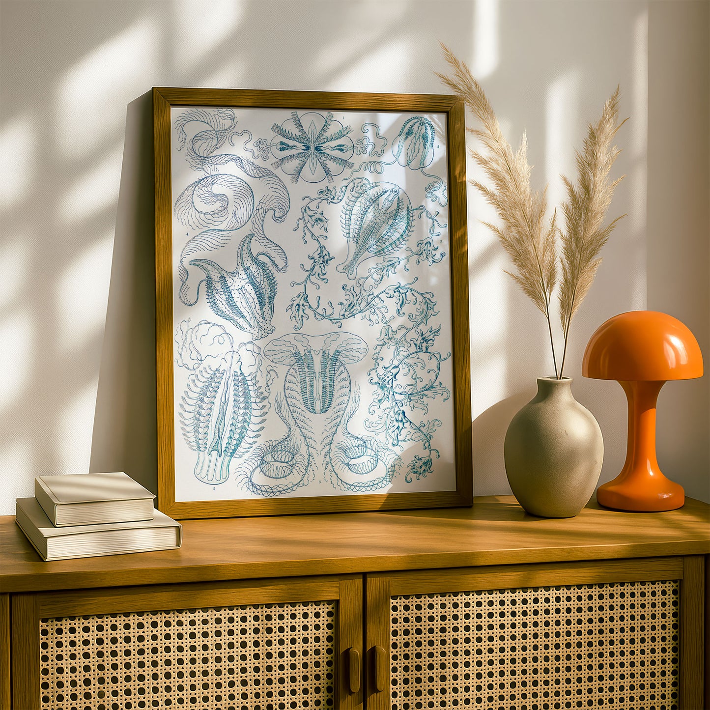 Ernst Haeckel Art Print | Plate 27: Hormiphora | Vintage Wall Art Poster