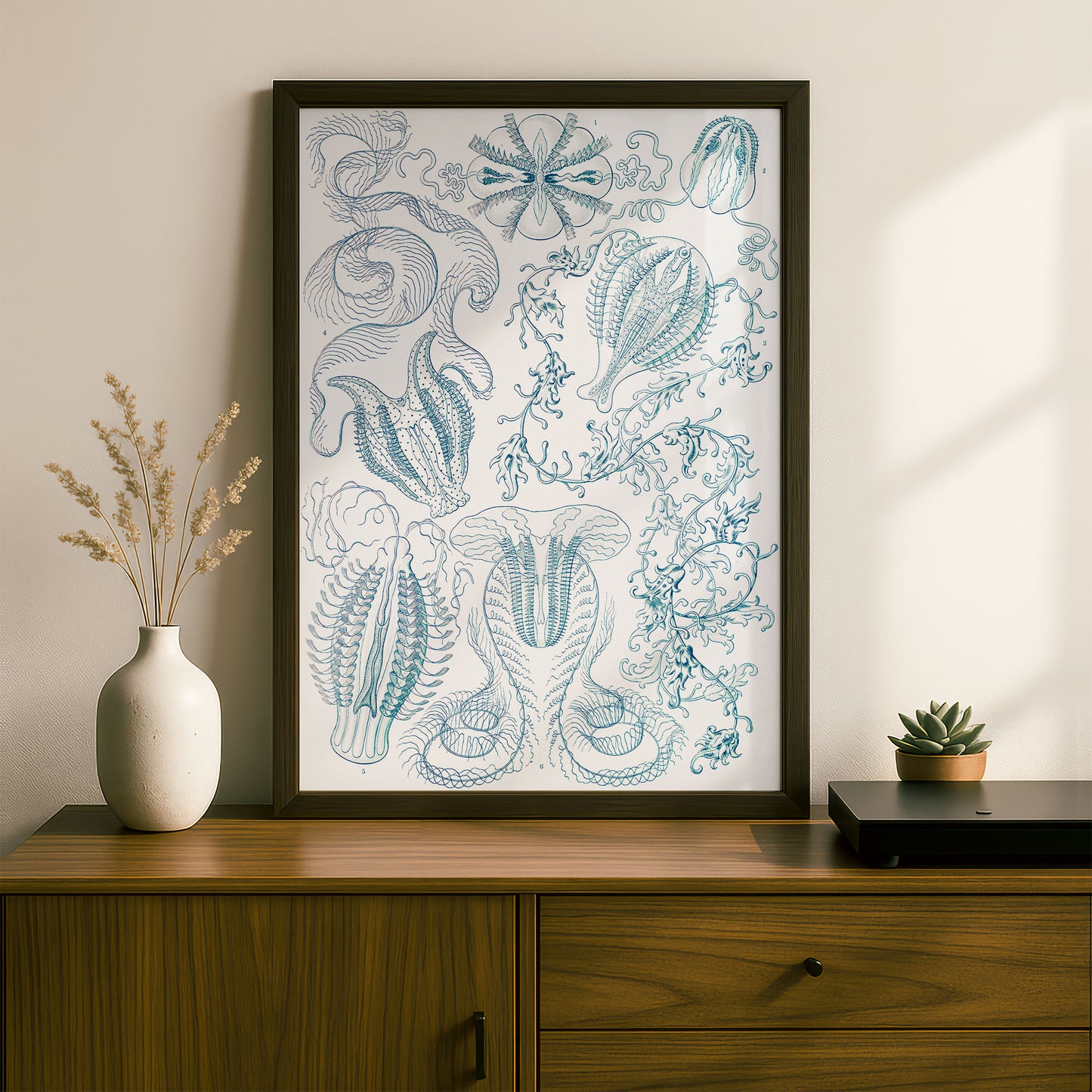 Ernst Haeckel Art Print | Plate 27: Hormiphora | Vintage Wall Art Poster