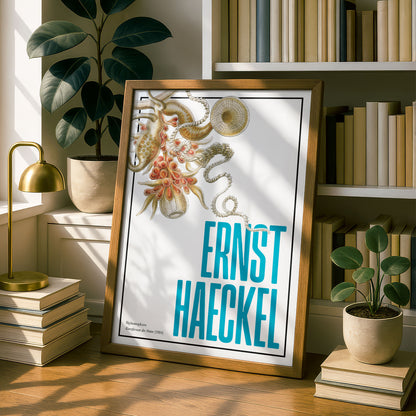 Ernst Haeckel Remixed Art Print 27 | Vintage Illustration | Modern Wall Art