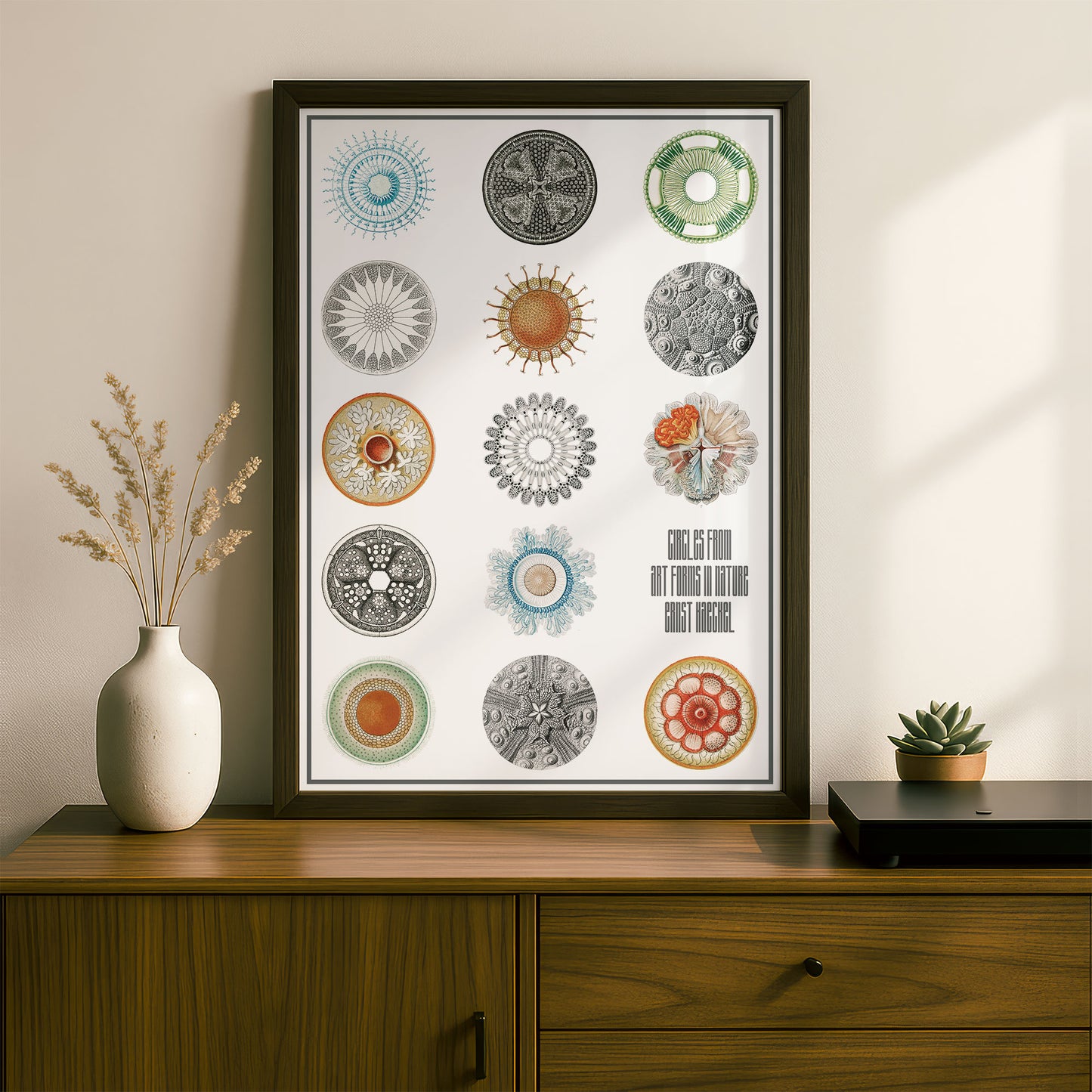 Circles from Art Forms in Nature | Ernst Haeckel Remixed Art Print 28 | Wall Art