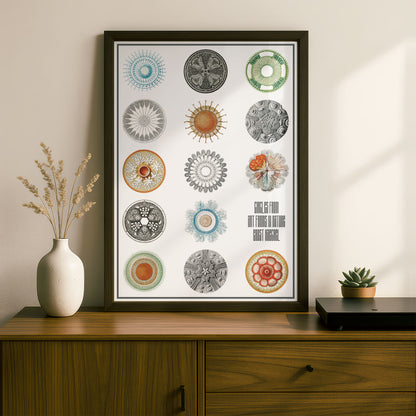 Circles from Art Forms in Nature | Ernst Haeckel Remixed Art Print 28 | Wall Art