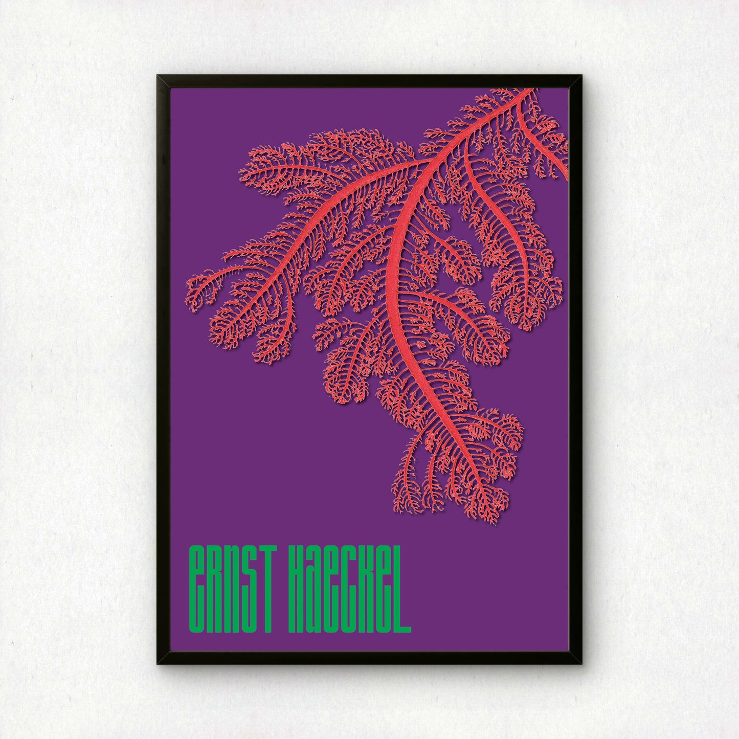 Ernst Haeckel Remixed Art Print 29 | Natural History Print | Premium Wall Art