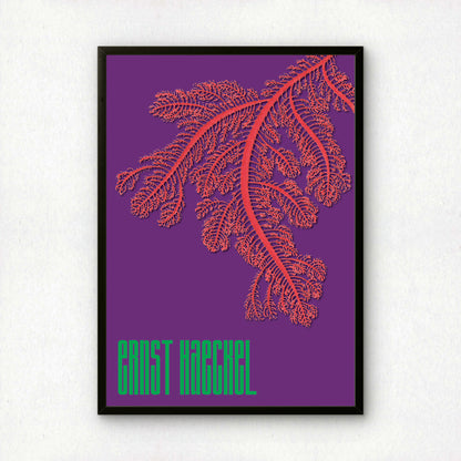 Ernst Haeckel Remixed Art Print 29 | Natural History Print | Premium Wall Art