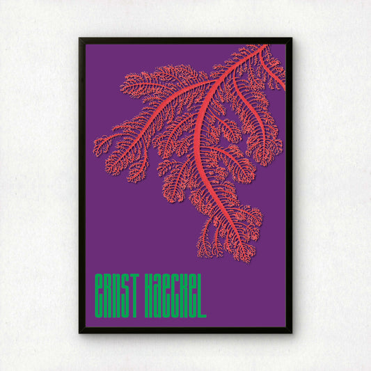 Ernst Haeckel Remixed Art Print 29 | Natural History Print | Premium Wall Art