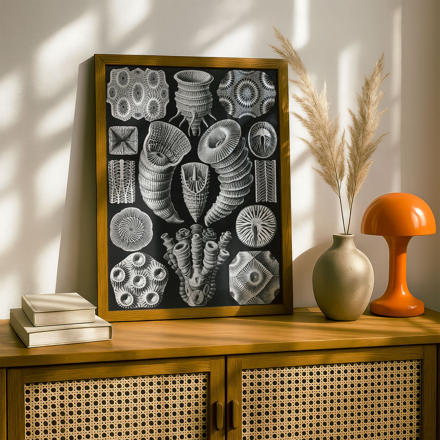 Ernst Haeckel Art Print | Plate 29: Cyathophyllum | Vintage Wall Art Poster