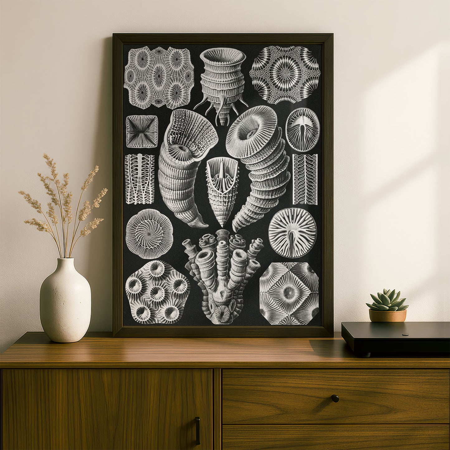 Ernst Haeckel Art Print | Plate 29: Cyathophyllum | Vintage Wall Art Poster