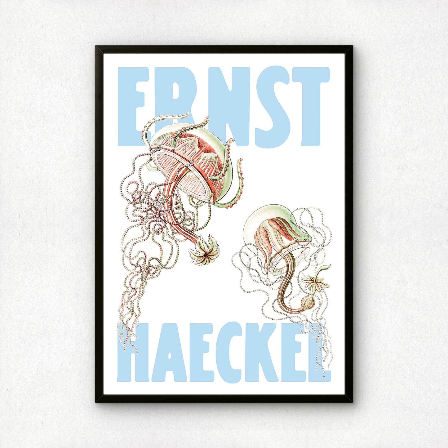 Ernst Haeckel Remixed Art Print 03 | Vintage Illustration | Modern Wall Art