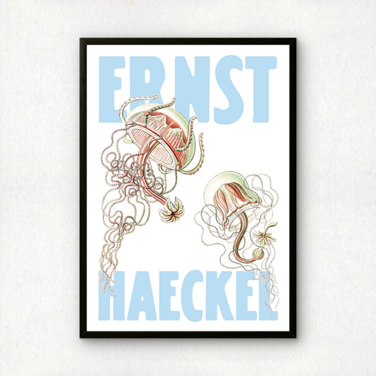 Ernst Haeckel Remixed Art Print 03 | Vintage Illustration | Modern Wall Art