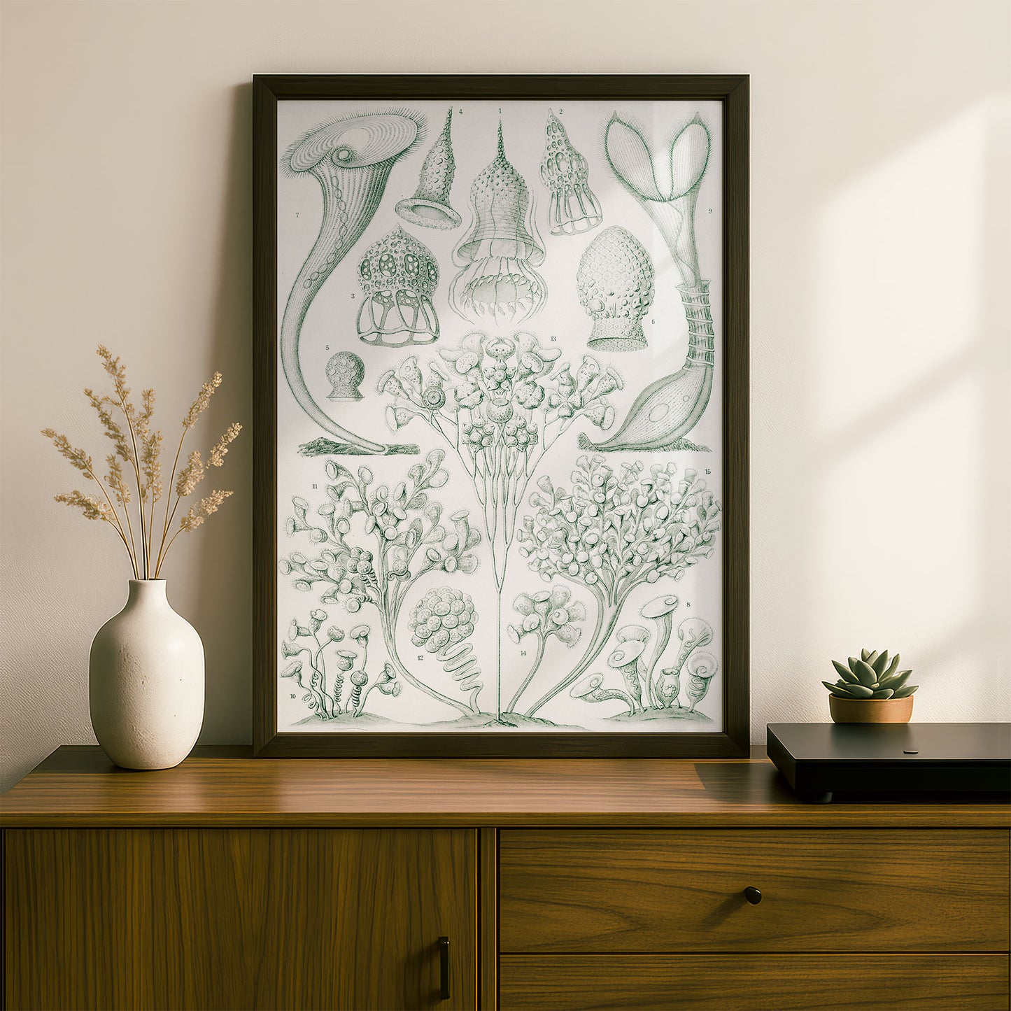 Ernst Haeckel Art Print | Plate 3: Stentor | Quality Vintage Wall Art Poster
