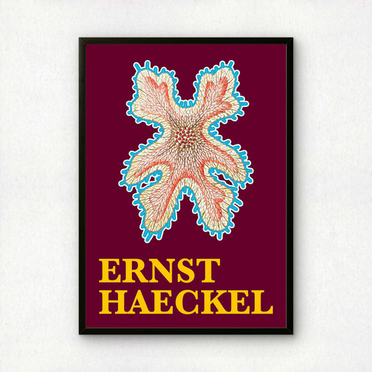 Ernst Haeckel Remixed Art Print 30 | Modern Art Nouveau | Premium Wall Art