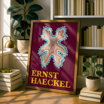 Ernst Haeckel Remixed Art Print 30 | Modern Art Nouveau | Premium Wall Art